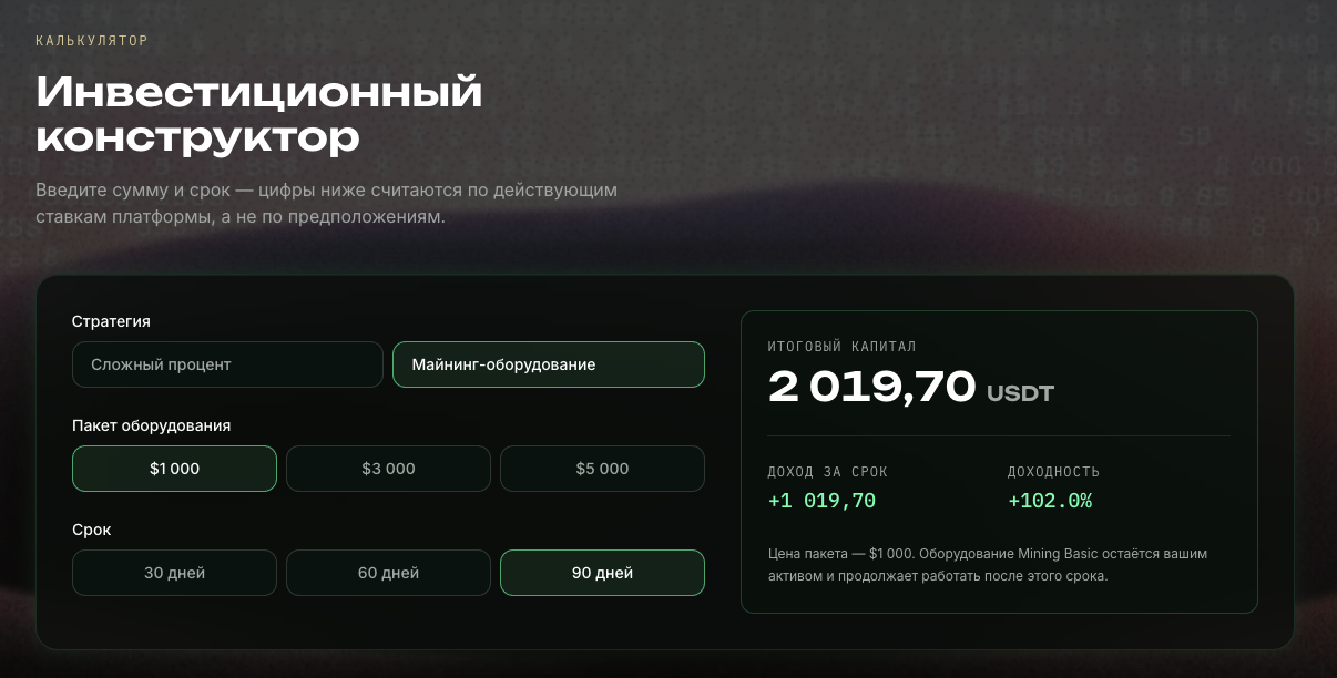 xmain group