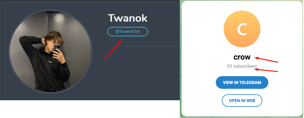 twanok тг канал