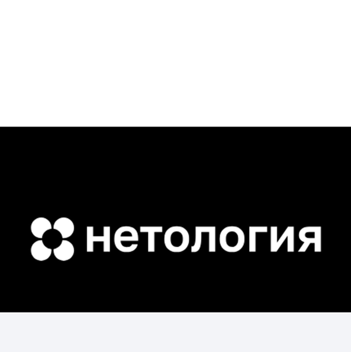 Нетология Бизнес Аналитик