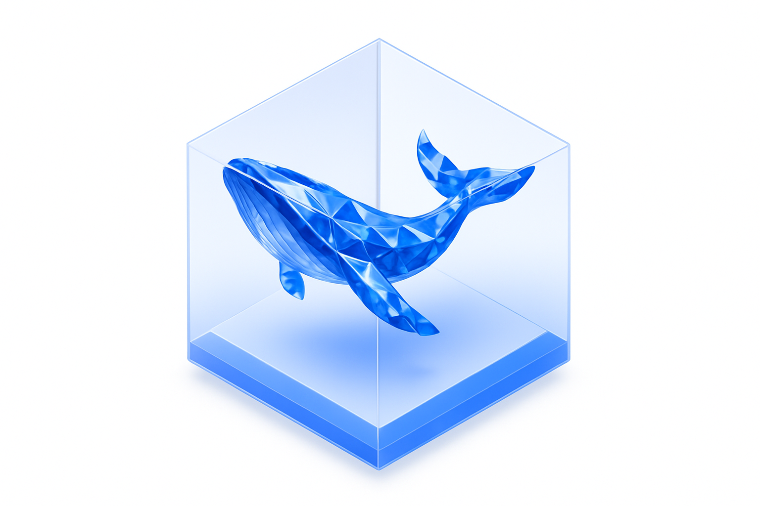 Whale io