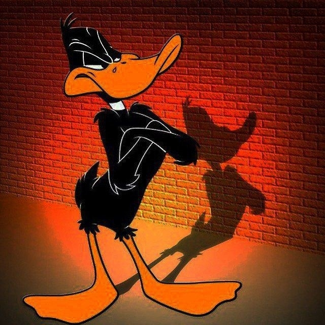 Op daffyduckbiz