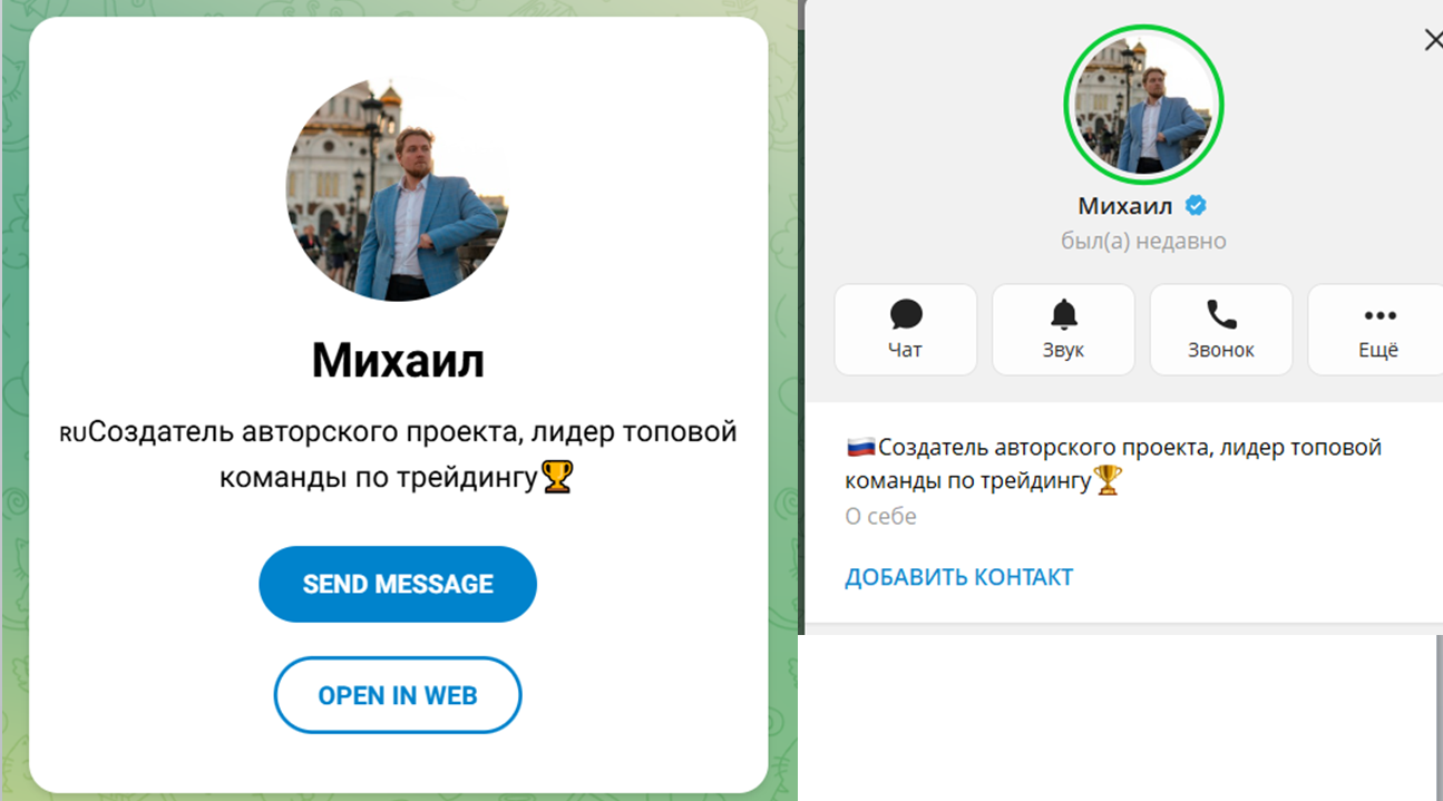 михаил богачёв инвестиции