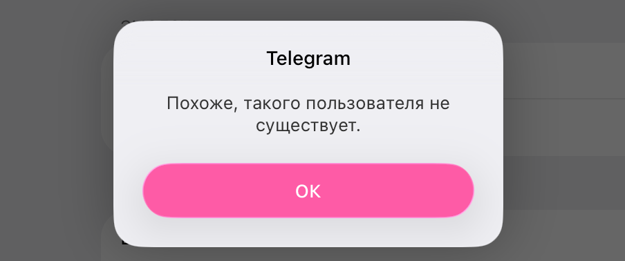 seady тг канал