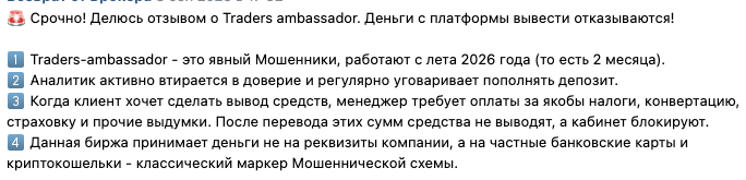 брокер Tradersambassador Com