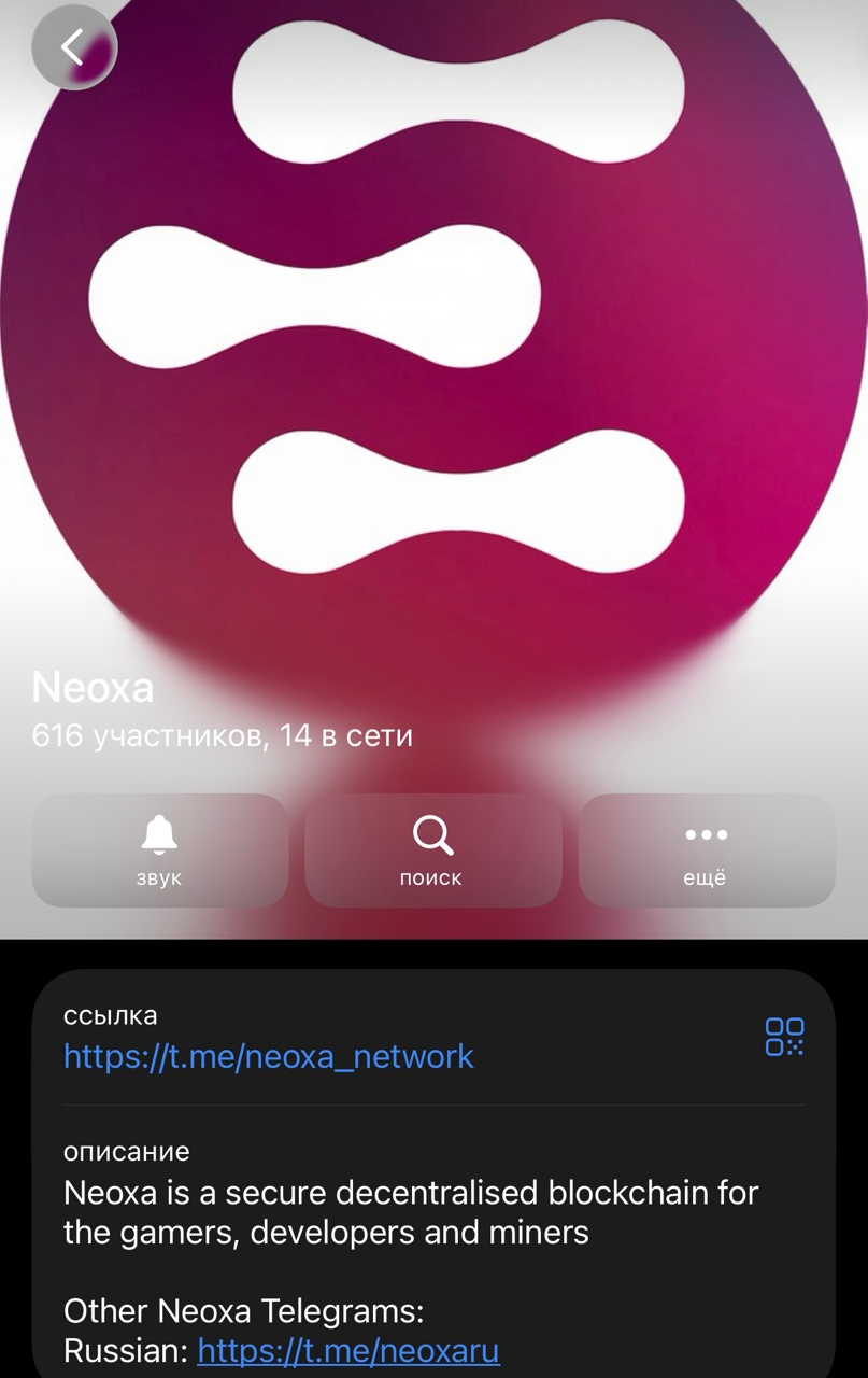 neoxa курс