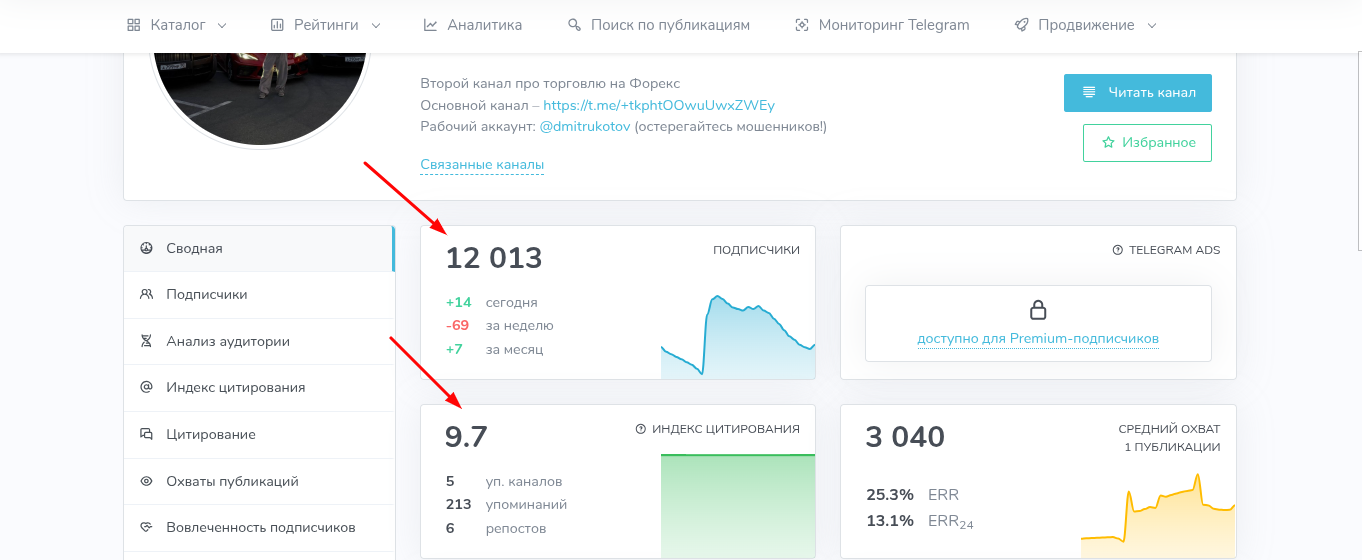 котов форекс