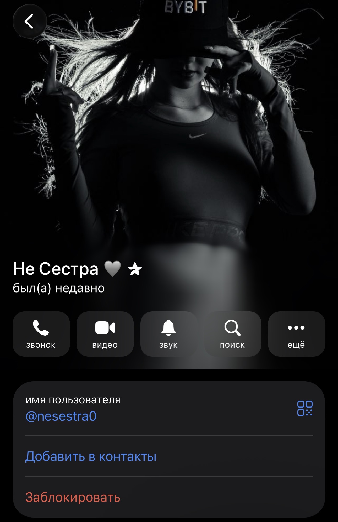 nesestra0
