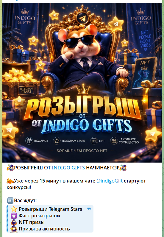индиго старс