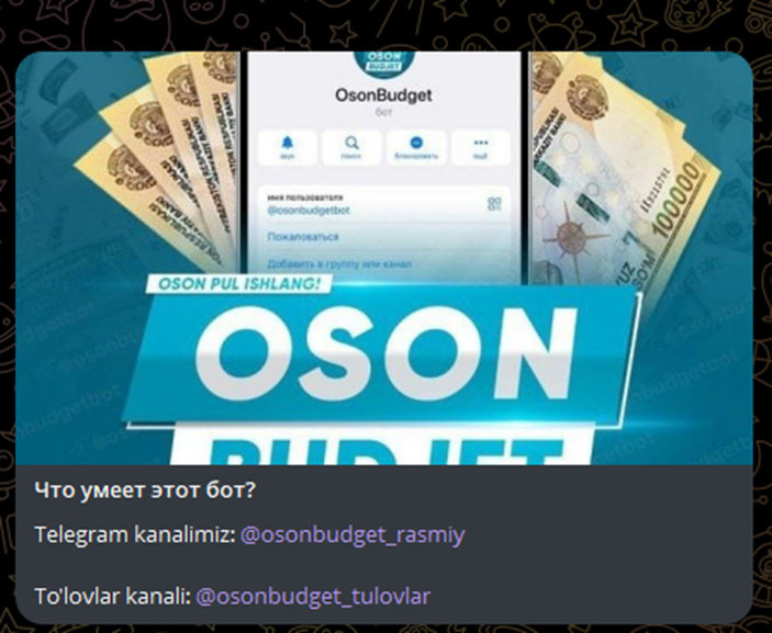 osonbudget