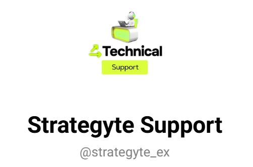strategyte com обменник
