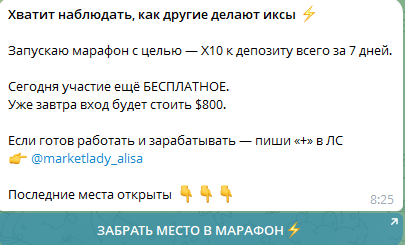 Market Lady отзывы