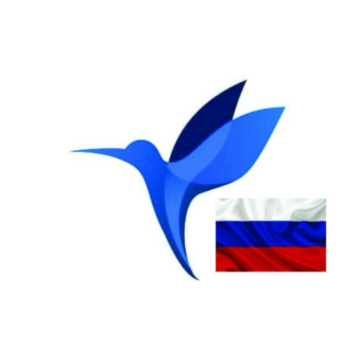 blogger-Colibri broker