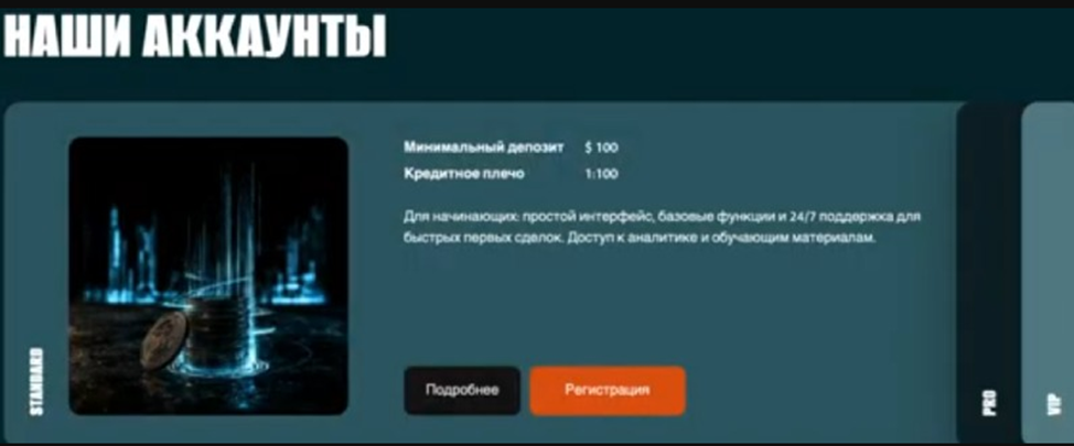 asazakki отзывы