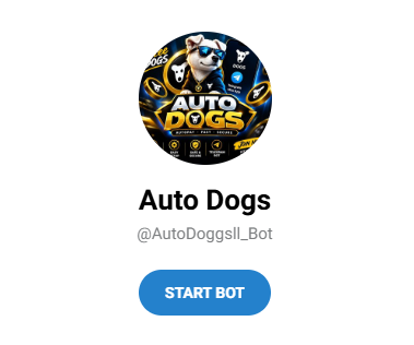 Auto Dogs