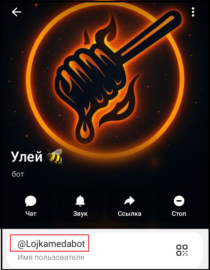 Улей