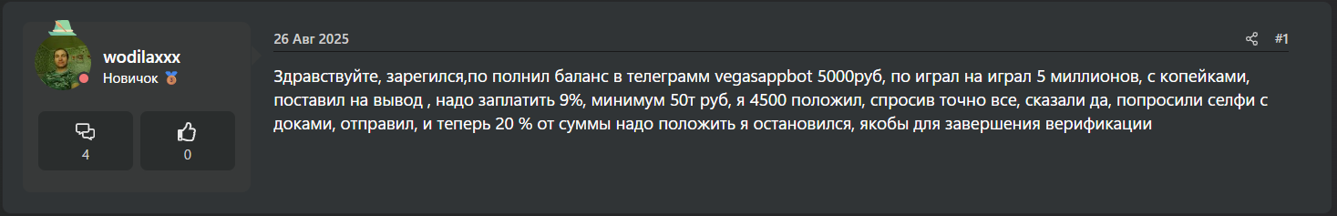 Роман VIP
