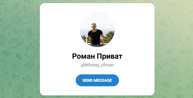 Роман VIP