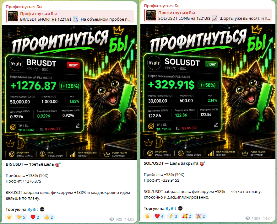 needprofit2