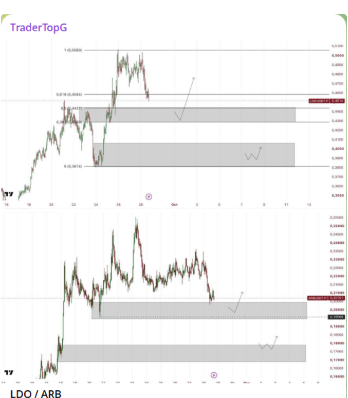 tradertopg