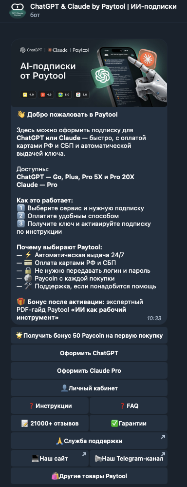 paytool chat gpt openai bot