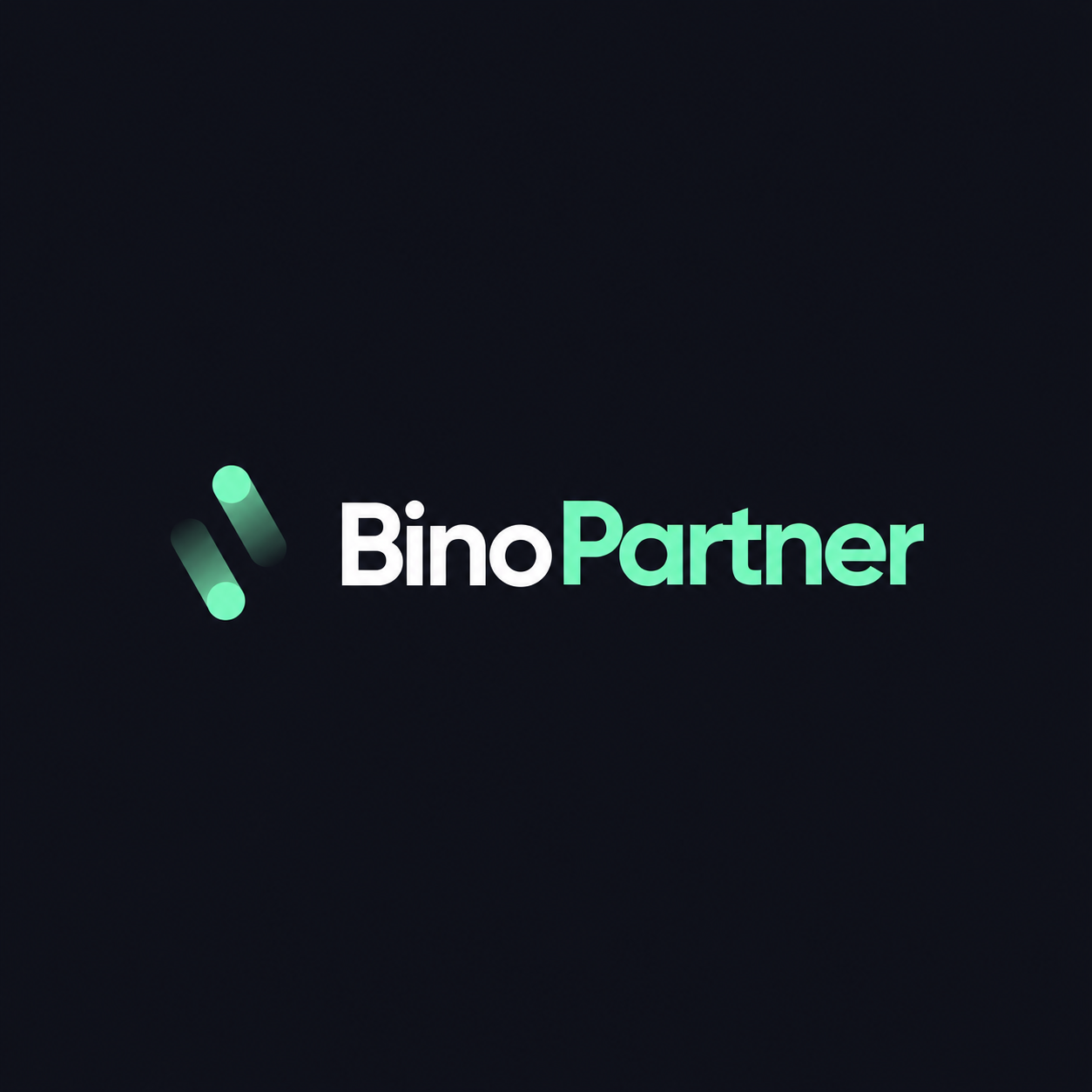 blogger-Binopartner 