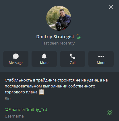 дмитрий стратегист