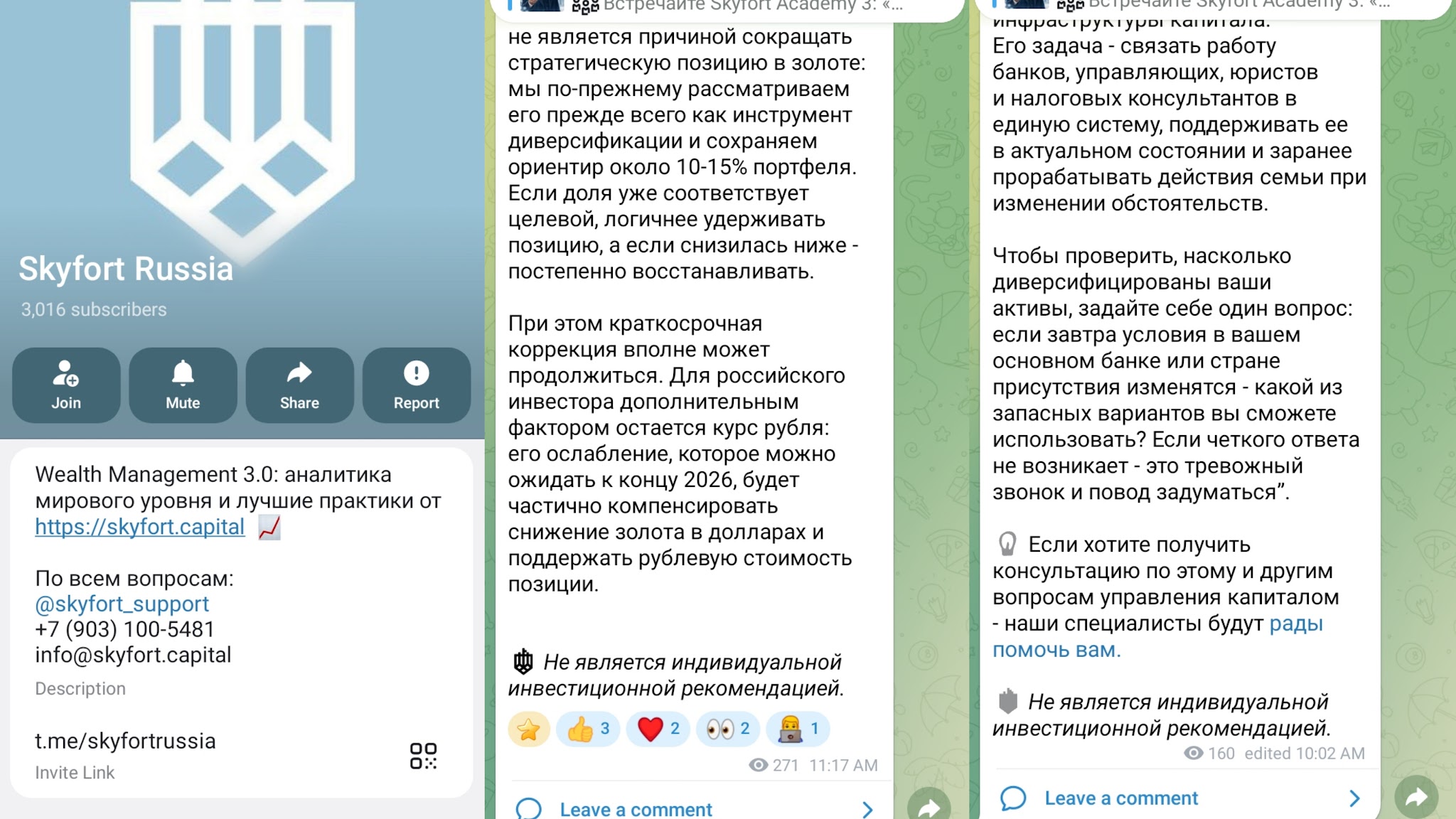 скайфорт капитал