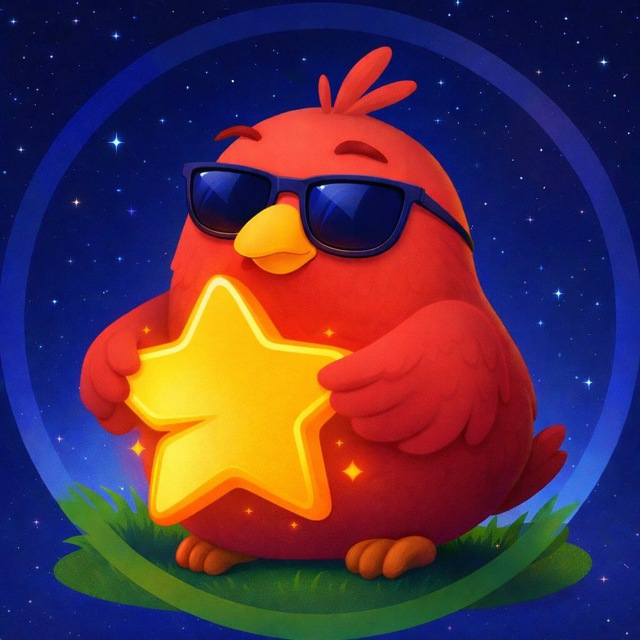 blogger-Stars Birds