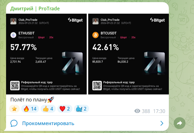 dima protradechannel