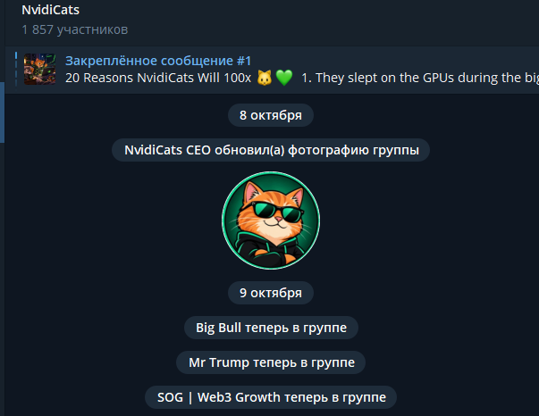 nvidi cats