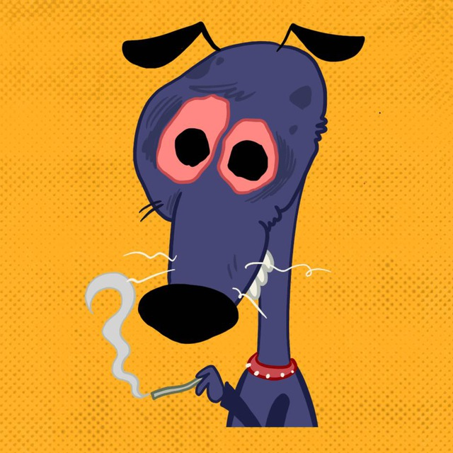 blogger-Unhealthy Dogs