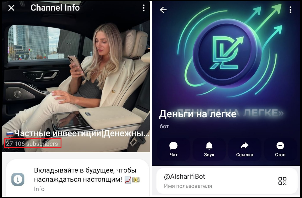 Частные инвестиции Денежный поток