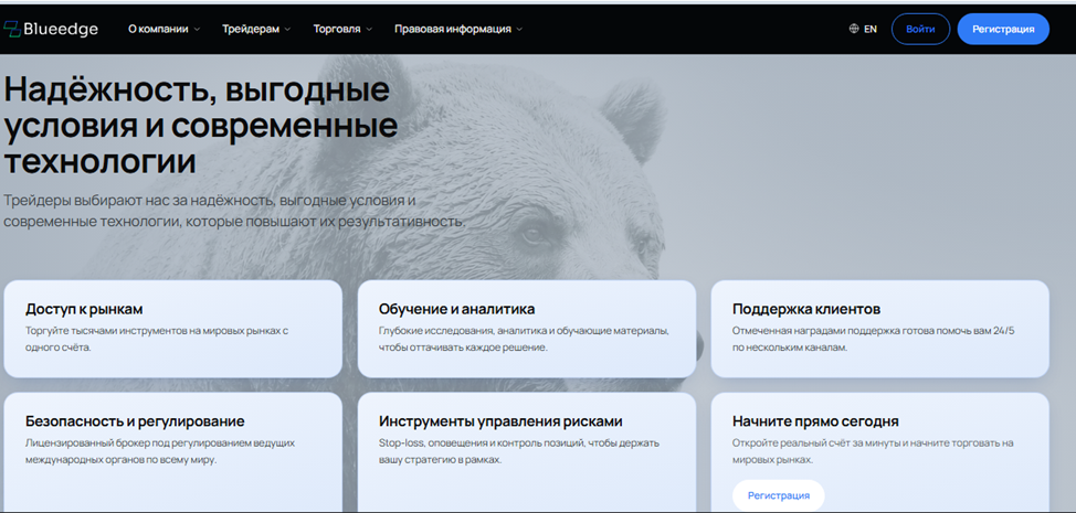 отзывы об blueedge global