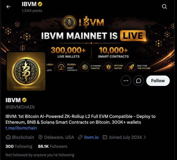 IBVM Rewards Bot