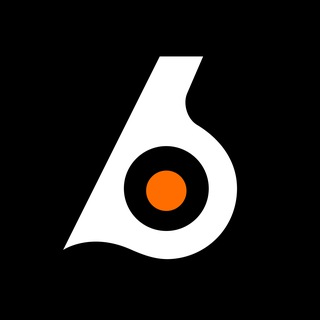 blogger-Birdeye 