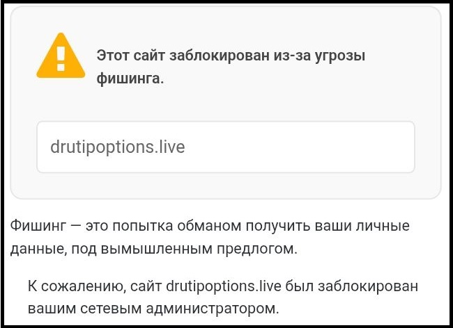 drutip options отзывы