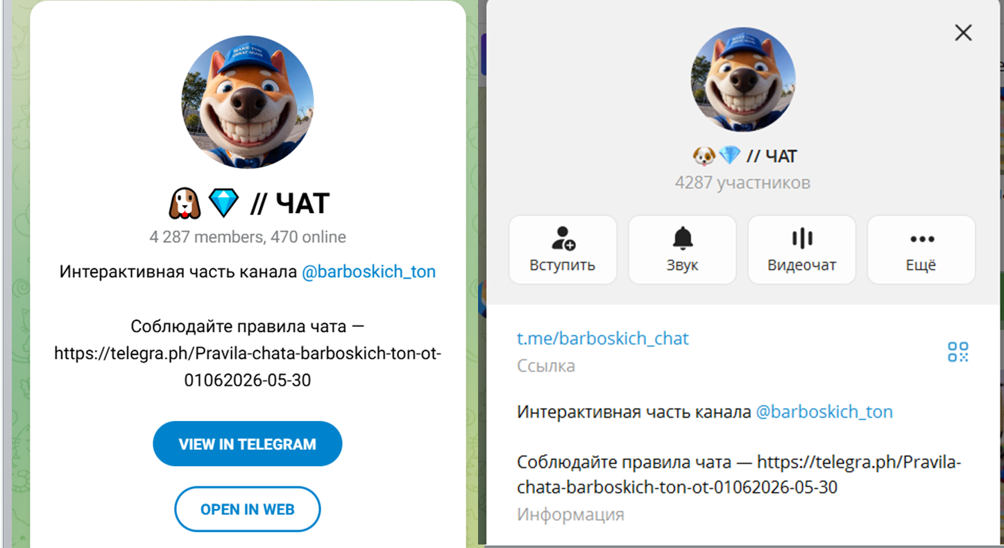 Shiba Bank тг