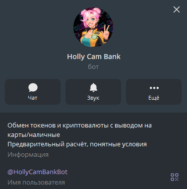 holly cam bank