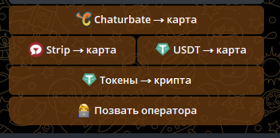 холли кэм банк